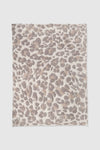 Sandstone Multi